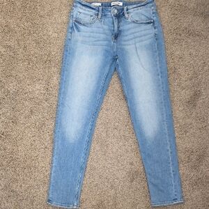 American Eagle Outfitters Sky Blue Skinny Jeans